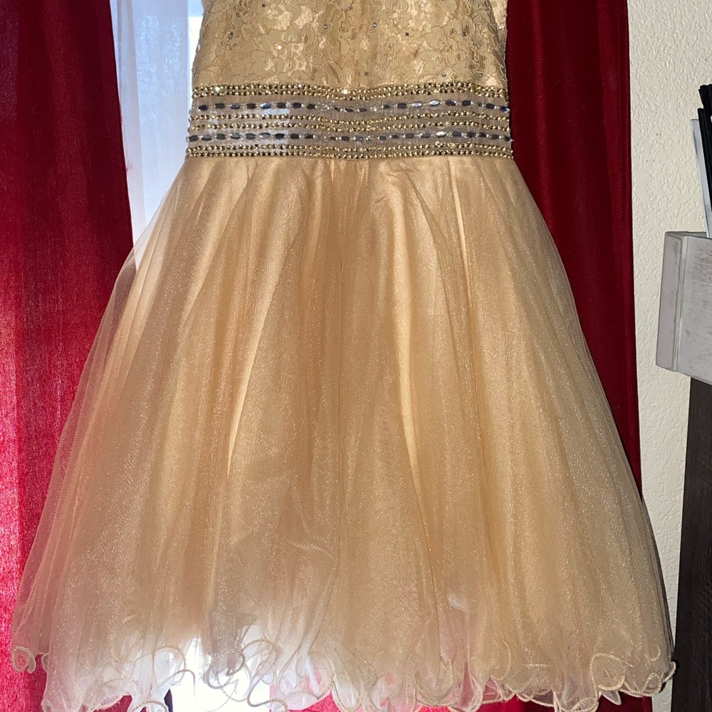 Champagne with silver design dress - Picture 3 of 5